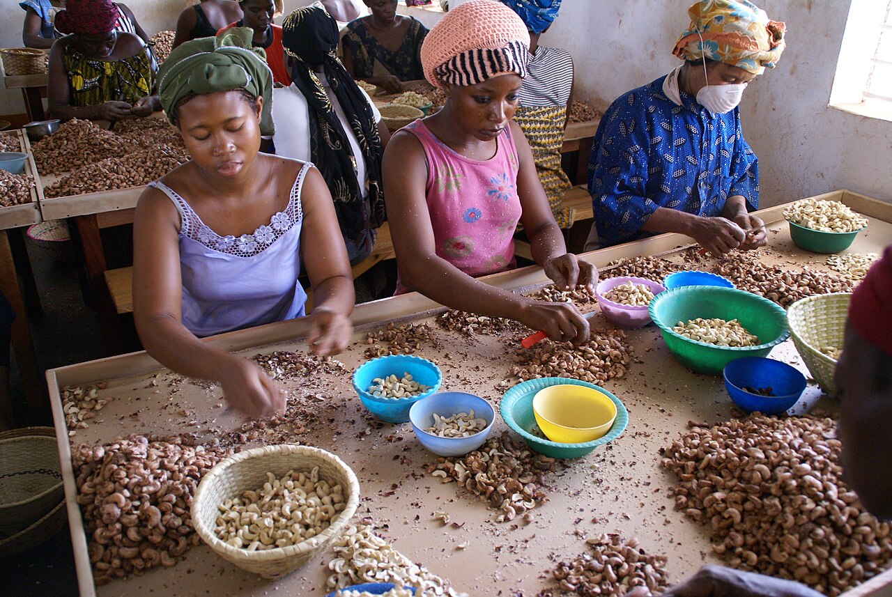 Cashew Shelling Factory